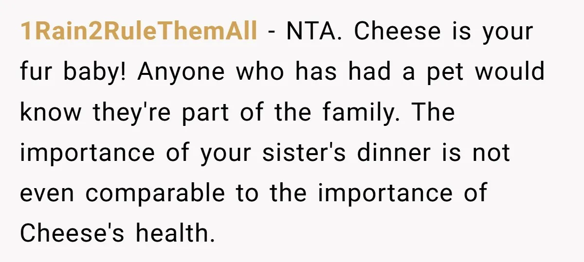 1Rain2RuleThemAll − NTA. Cheese is your fur baby! Anyone who has had a pet would know they're part of the family. The importance of your sister's dinner is not even...