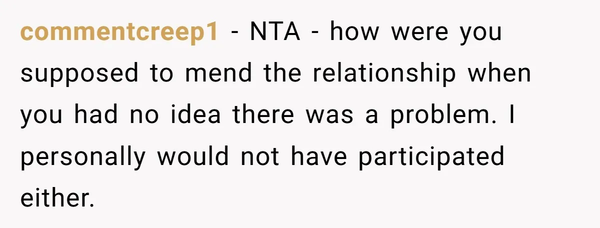 commentcreep1 − NTA - how were you supposed to mend the relationship when you had no idea there was a problem. I personally would not have participated either.