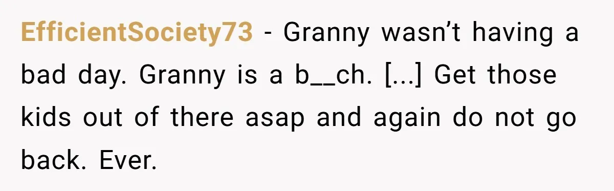 EfficientSociety73 − Granny wasn’t having a bad day. Granny is a b__ch. [...] Get those kids out of there asap and again do not go back. Ever.