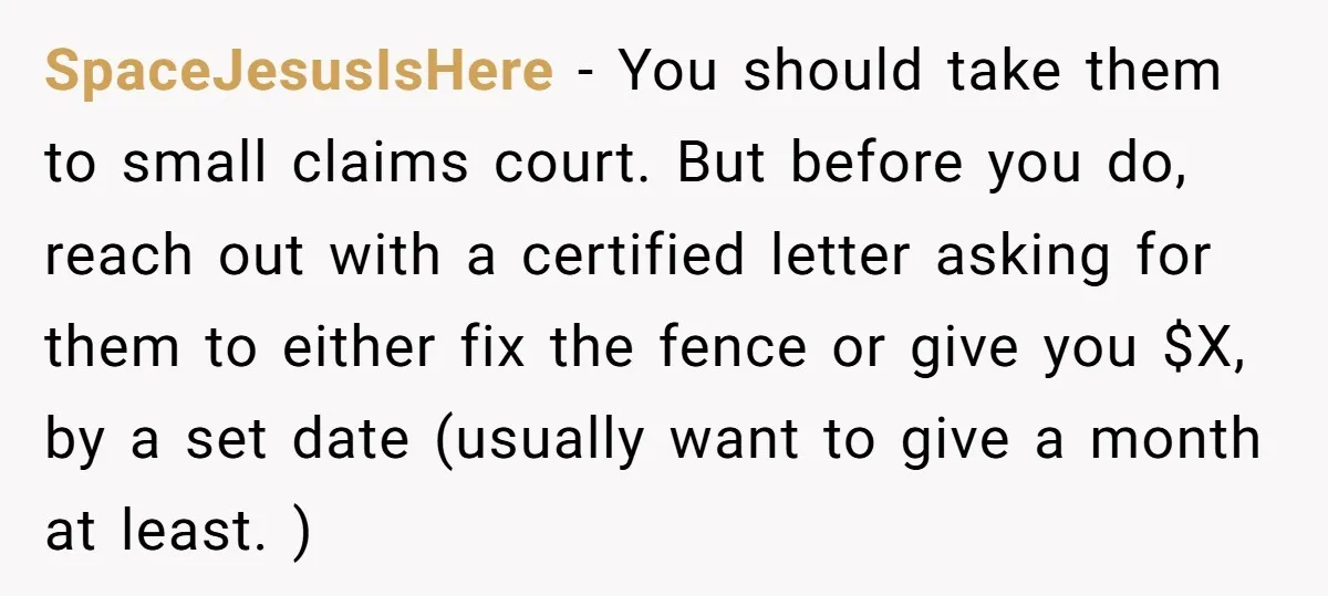 SpaceJesusIsHere − You should take them to small claims court. But before you do, reach out with a certified letter asking for them to either fix the fence or give...