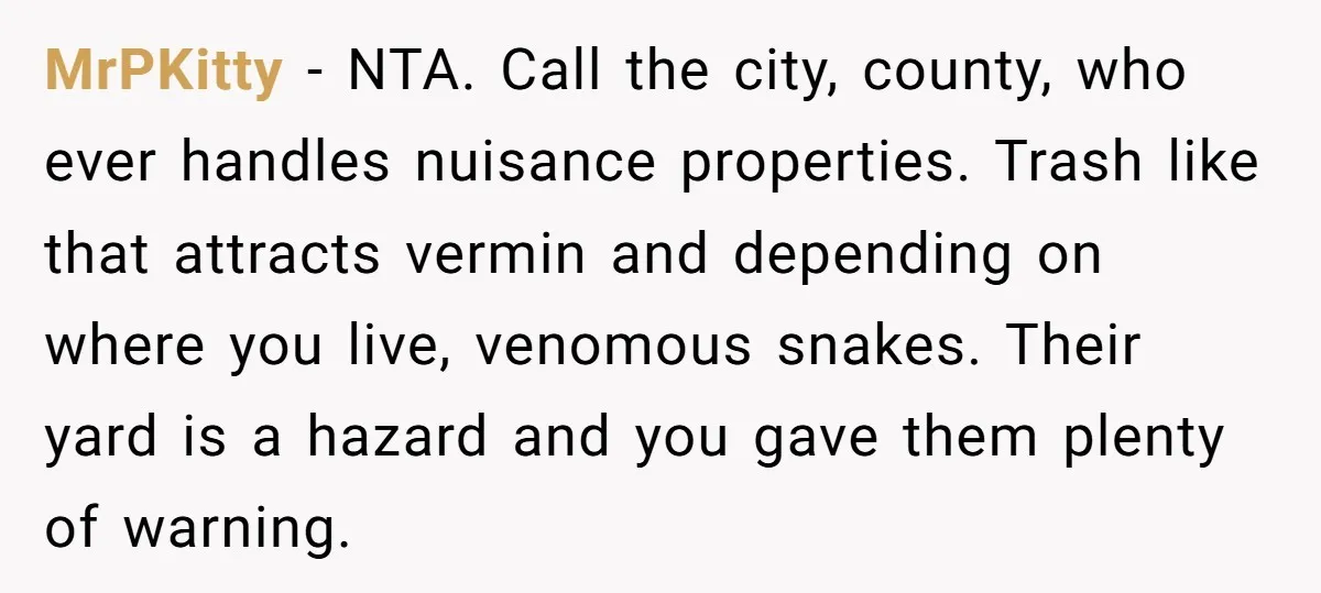 MrPKitty − NTA. Call the city, county, who ever handles nuisance properties. Trash like that attracts vermin and depending on where you live, venomous snakes. Their yard is a hazard...