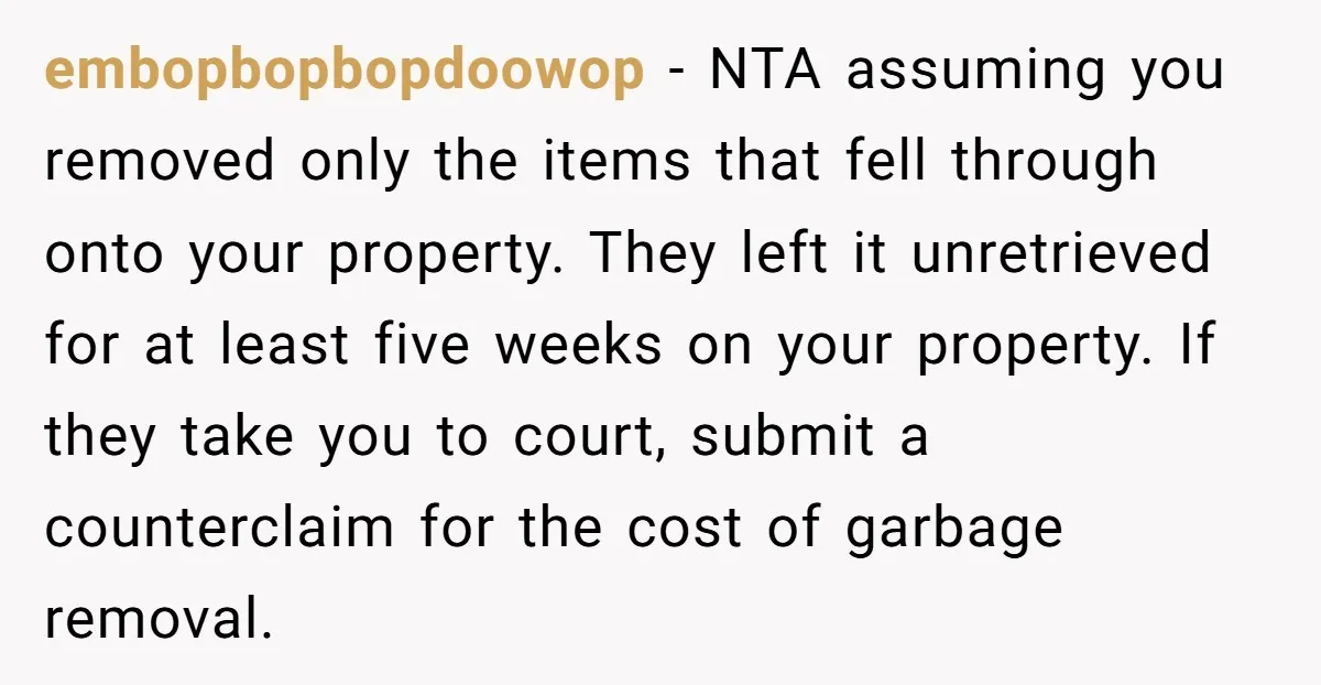 embopbopbopdoowop − NTA assuming you removed only the items that fell through onto your property. They left it unretrieved for at least five weeks on your property. If they take...