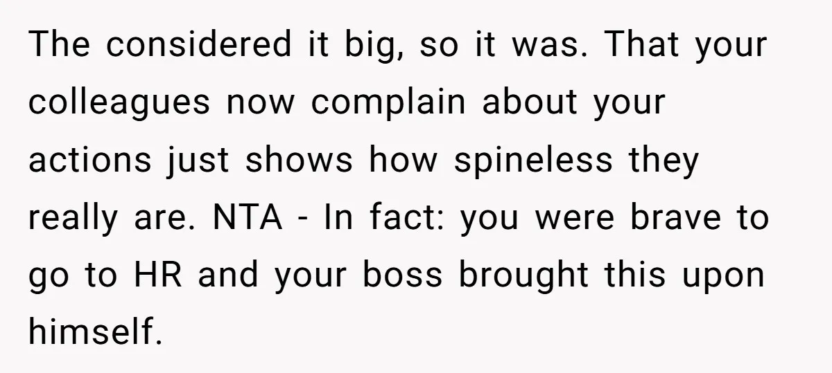 The considered it big, so it was. That your colleagues now complain about your actions just shows how spineless they really are. NTA - In fact: you were brave to...