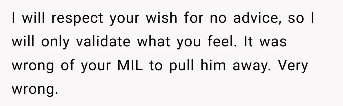 I will respect your wish for no advice, so I will only validate what you feel. It was wrong of your MIL to pull him away. Very wrong.