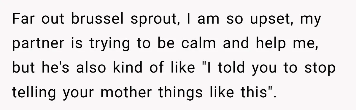 Far out brussel sprout, I am so upset, my partner is trying to be calm and help me, but he's also kind of like "I told you to stop telling...