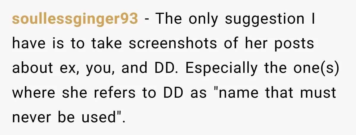 soullessginger93 - The only suggestion I have is to take screenshots of her posts about ex, you, and DD. Especially the one(s) where she refers to DD as "name that...