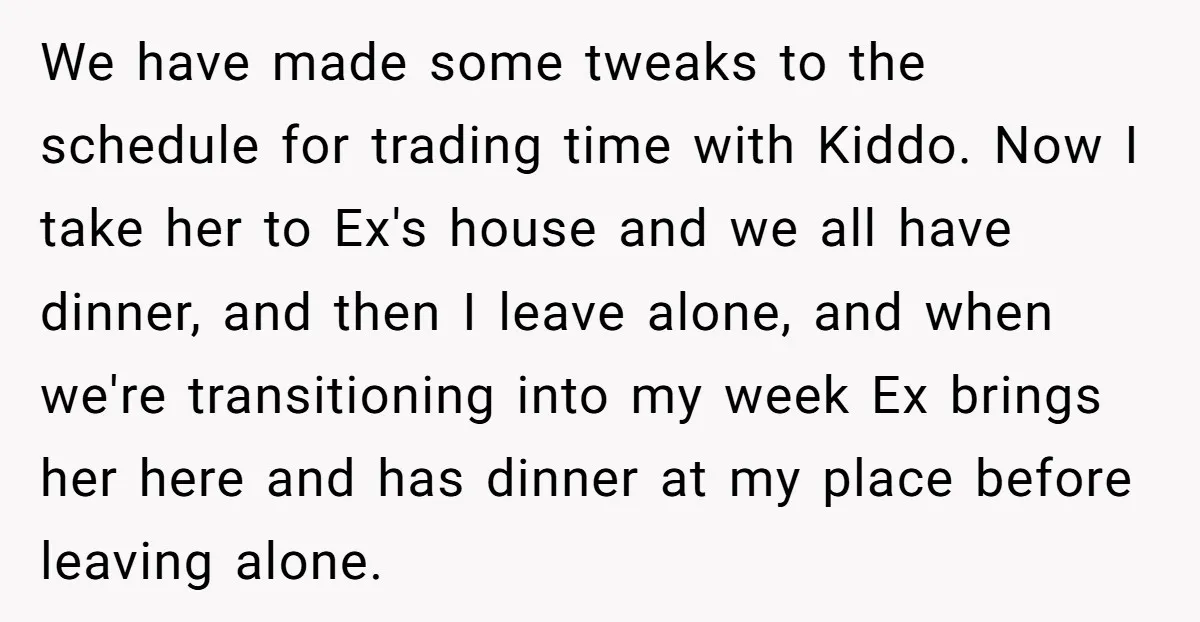 We have made some tweaks to the schedule for trading time with Kiddo. Now I take her to Ex's house and we all have dinner, and then I leave alone,...