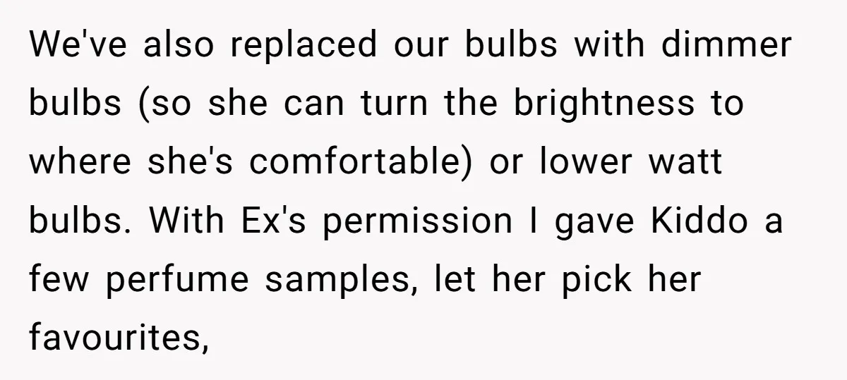 We've also replaced our bulbs with dimmer bulbs (so she can turn the brightness to where she's comfortable) or lower watt bulbs. With Ex's permission I gave Kiddo a few...