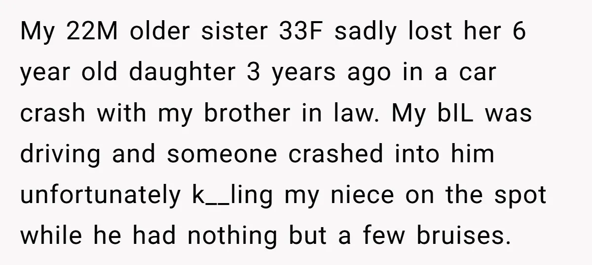 My 22M older sister 33F sadly lost her 6 year old daughter 3 years ago in a car crash with my brother in law. My bIL was driving and someone...