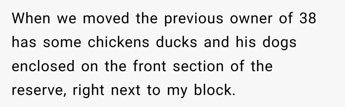 When we moved the previous owner of 38 has some chickens ducks and his dogs enclosed on the front section of the reserve, right next to my block.