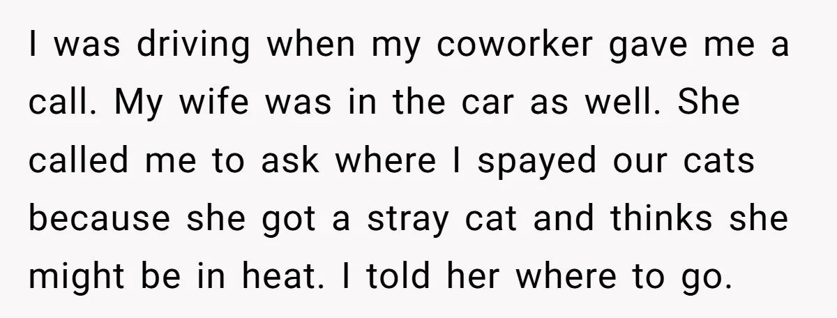 I was driving when my coworker gave me a call. My wife was in the car as well. She called me to ask where I spayed our cats because she...