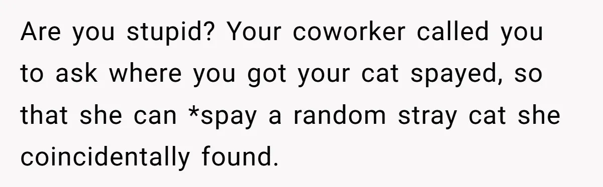 Are you stupid? Your coworker called you to ask where you got your cat spayed, so that she can *spay a random stray cat she coincidentally found.