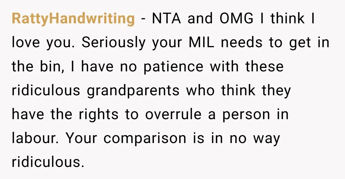 RattyHandwriting − NTA and OMG I think I love you. Seriously your MIL needs to get in the bin, I have no patience with these ridiculous grandparents who think they...