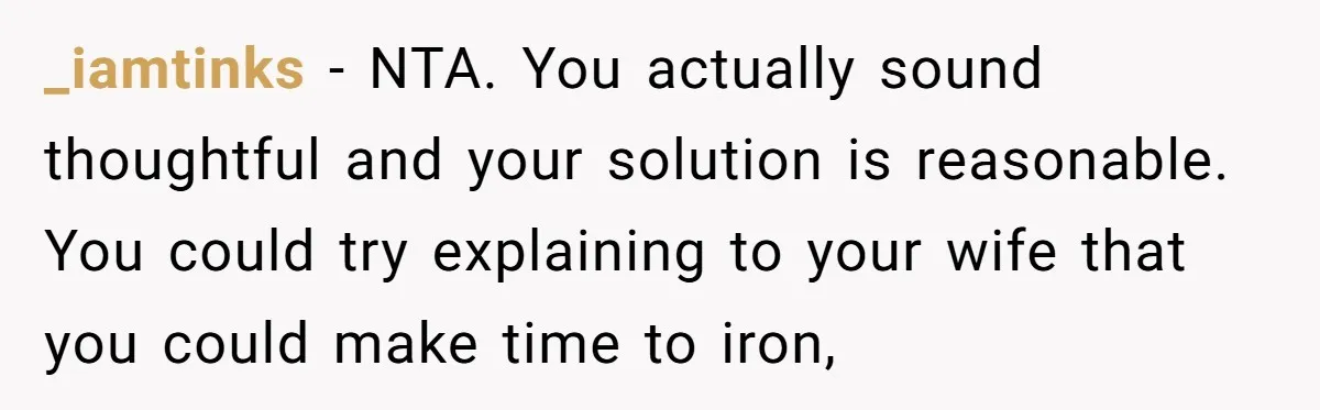 _iamtinks − NTA. You actually sound thoughtful and your solution is reasonable. You could try explaining to your wife that you could make time to iron,
