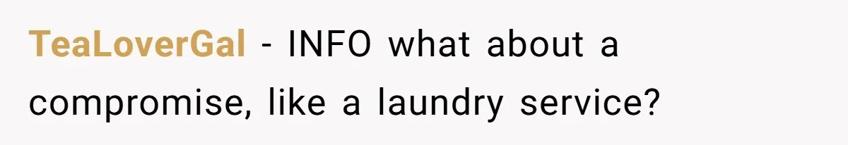 TeaLoverGal − INFO what about a compromise, like a laundry service?