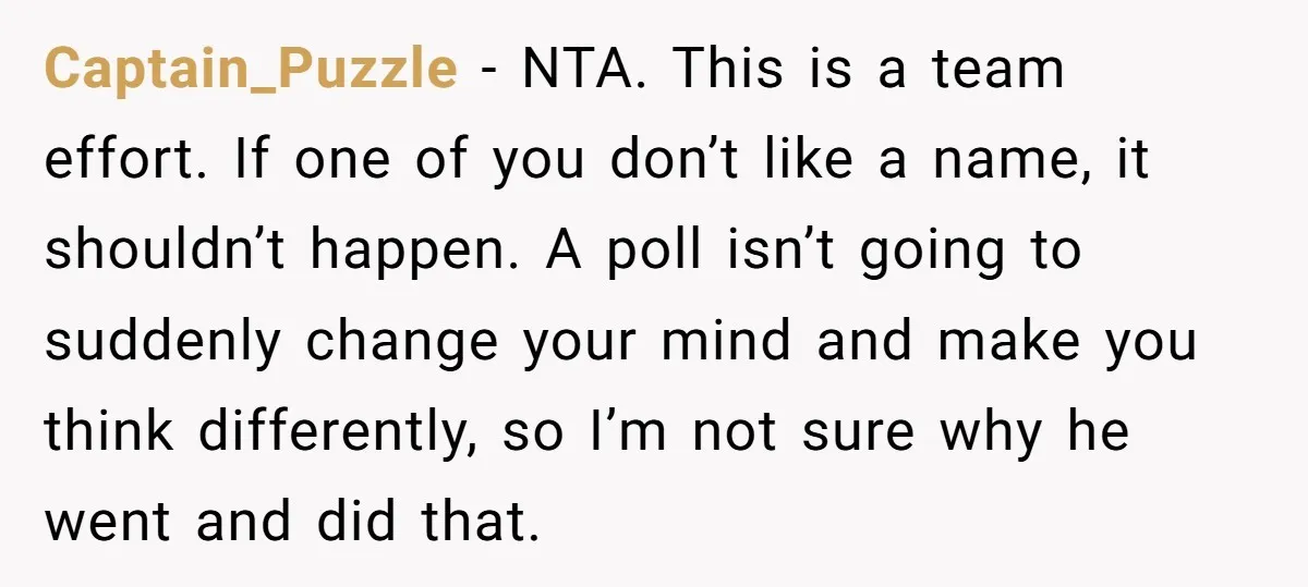 Captain_Puzzle − NTA. This is a team effort. If one of you don’t like a name, it shouldn’t happen. A poll isn’t going to suddenly change your mind and make...