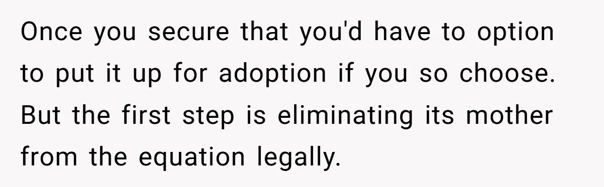 Once you secure that you'd have to option to put it up for adoption if you so choose. But the first step is eliminating its mother from the equation legally.