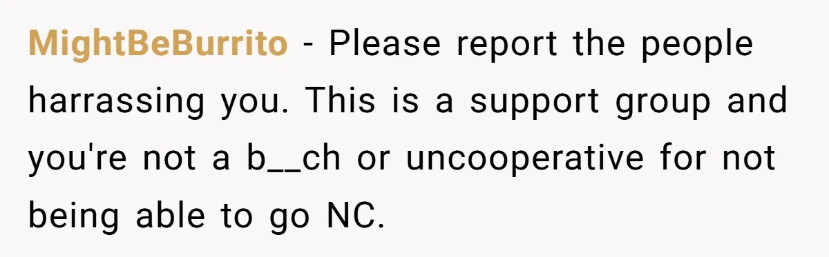 MightBeBurrito − Please report the people harrassing you. This is a support group and you're not a b__ch or uncooperative for not being able to go NC.