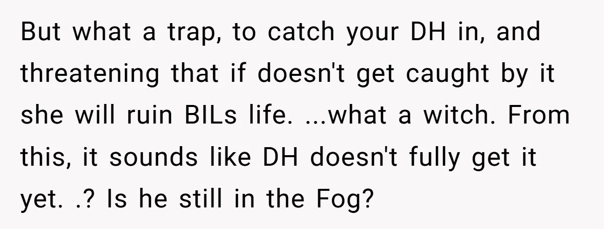 But what a trap, to catch your DH in, and threatening that if doesn't get caught by it she will ruin BILs life. ...what a witch. From this, it sounds...