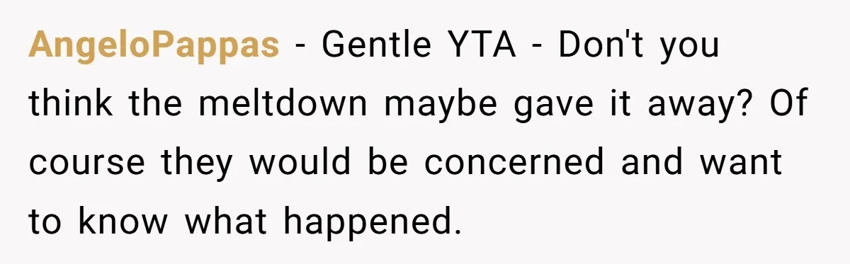 AngeloPappas − Gentle YTA - Don't you think the meltdown maybe gave it away? Of course they would be concerned and want to know what happened.