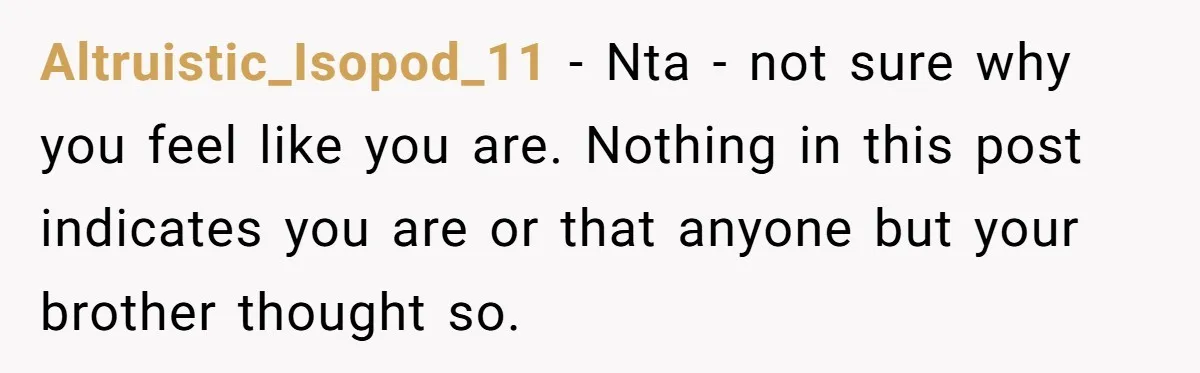 Altruistic_Isopod_11 − Nta - not sure why you feel like you are. Nothing in this post indicates you are or that anyone but your brother thought so.