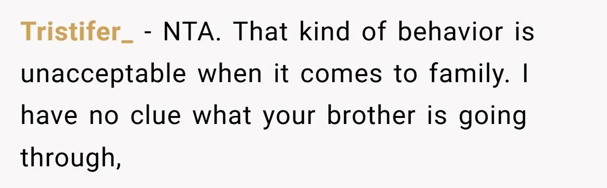 Tristifer_ − NTA. That kind of behavior is unacceptable when it comes to family. I have no clue what your brother is going through,