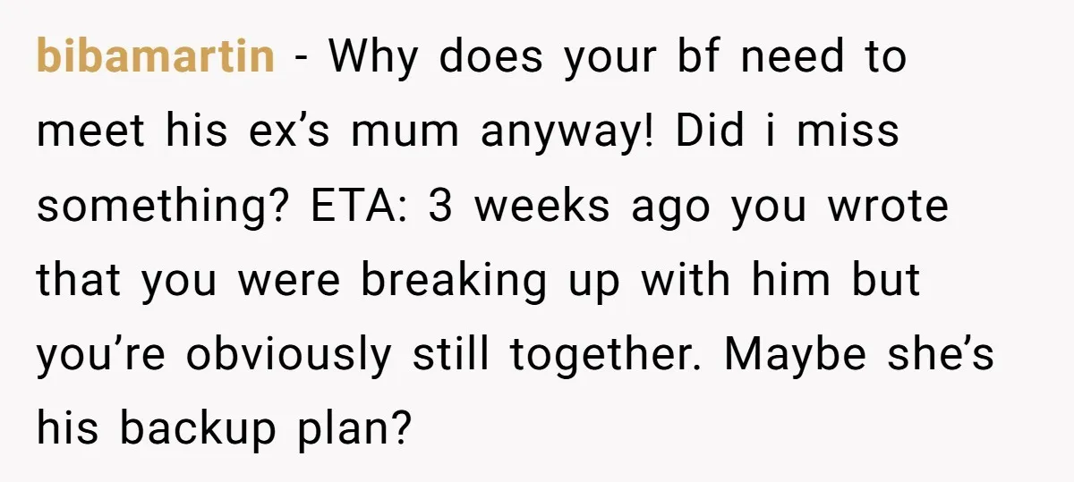 bibamartin − Why does your bf need to meet his ex’s mum anyway! Did i miss something? ETA: 3 weeks ago you wrote that you were breaking up with him...
