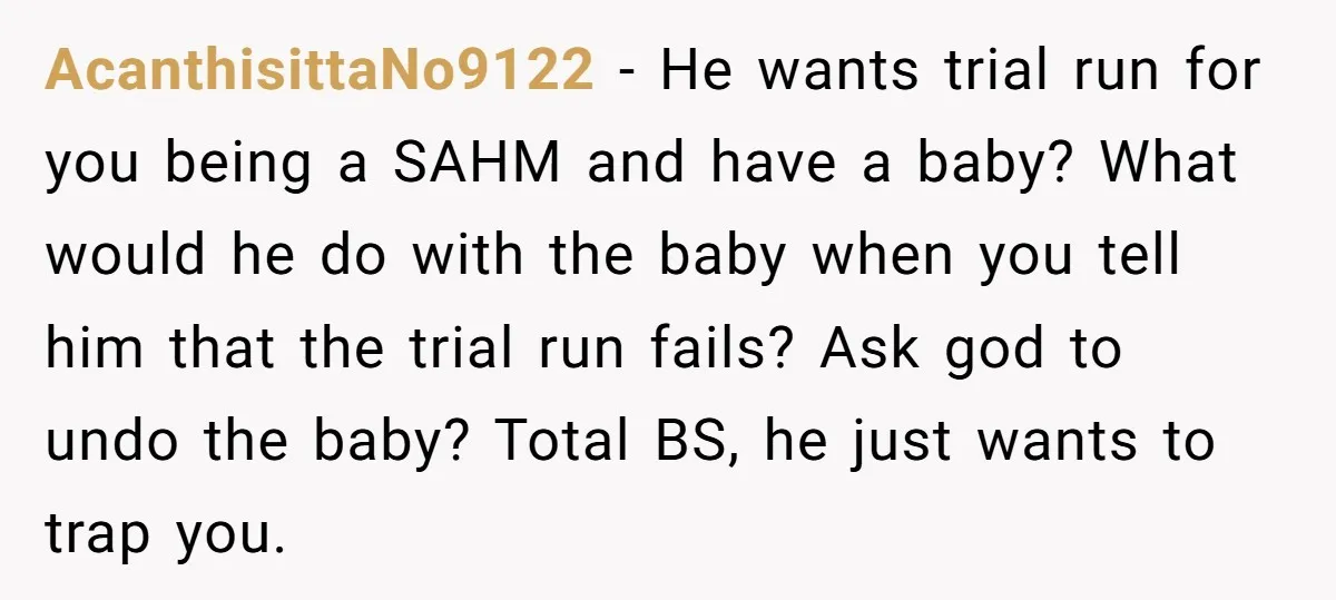 AcanthisittaNo9122 − He wants trial run for you being a SAHM and have a baby? What would he do with the baby when you tell him that the trial run...