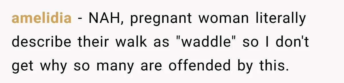 amelidia − NAH, pregnant woman literally describe their walk as "waddle" so I don't get why so many are offended by this.