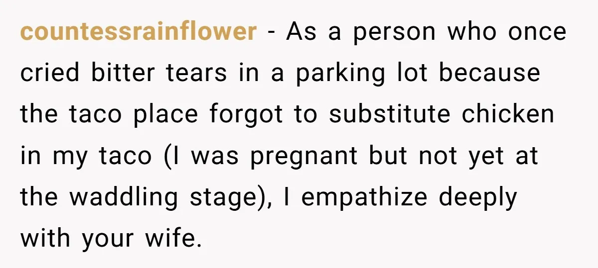 countessrainflower − As a person who once cried bitter tears in a parking lot because the taco place forgot to substitute chicken in my taco (I was pregnant but not...