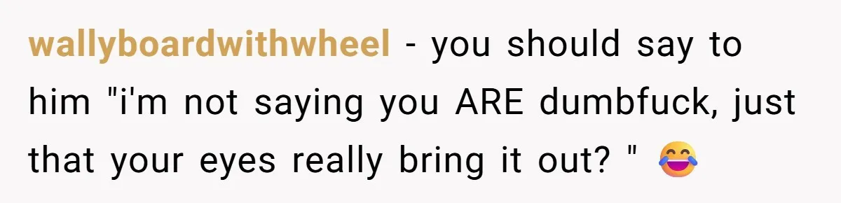 wallyboardwithwheel − you should say to him "i'm not saying you ARE dumbfuck, just that your eyes really bring it out? " 😂