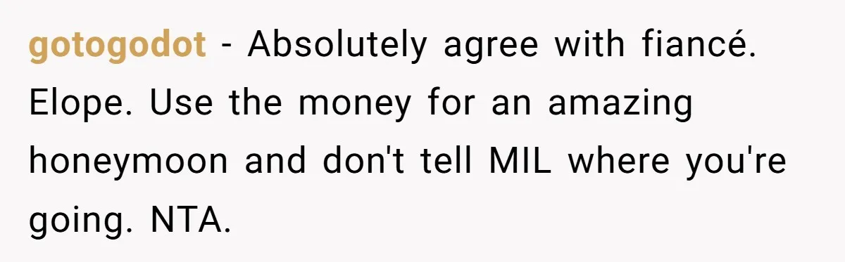 gotogodot − Absolutely agree with fiancé. Elope. Use the money for an amazing honeymoon and don't tell MIL where you're going. NTA.