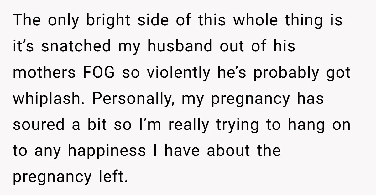 The only bright side of this whole thing is it’s snatched my husband out of his mothers FOG so violently he’s probably got whiplash. Personally, my pregnancy has soured a...