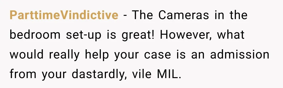 ParttimeVindictive − The Cameras in the bedroom set-up is great! However, what would really help your case is an admission from your dastardly, vile MIL.