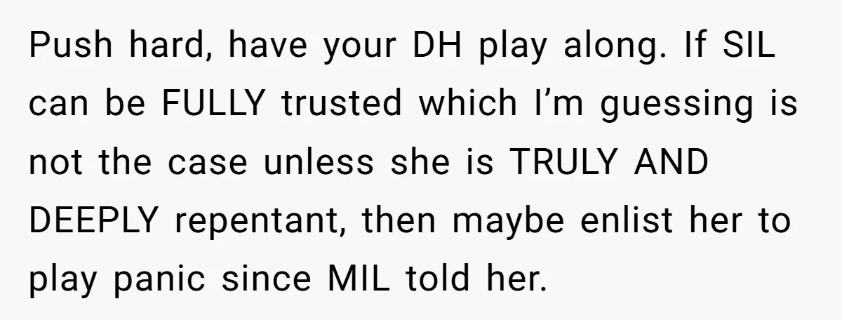 Push hard, have your DH play along. If SIL can be FULLY trusted which I’m guessing is not the case unless she is TRULY AND DEEPLY repentant, then maybe enlist...