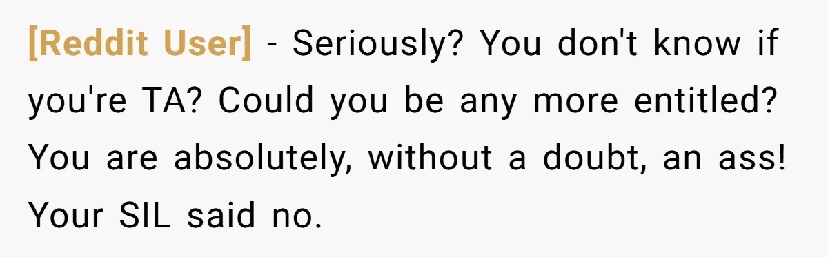 [Reddit User] − Seriously? You don't know if you're TA? Could you be any more entitled? You are absolutely, without a doubt, an ass! Your SIL said no.