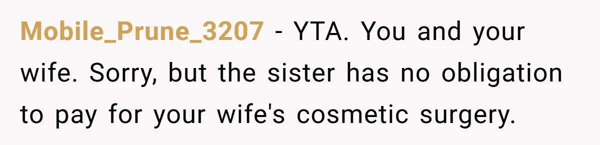 Mobile_Prune_3207 − YTA. You and your wife. Sorry, but the sister has no obligation to pay for your wife's cosmetic surgery.