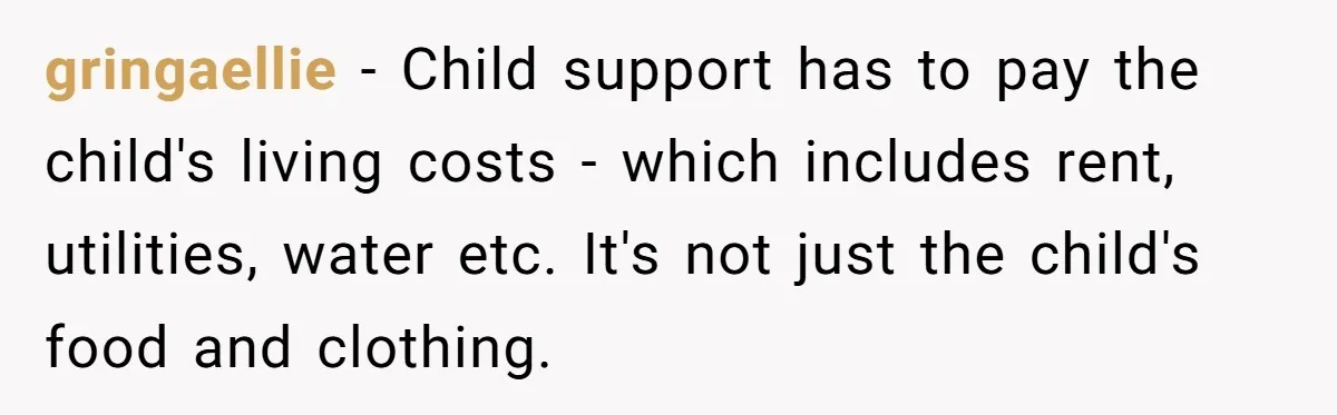 gringaellie − Child support has to pay the child's living costs - which includes rent, utilities, water etc. It's not just the child's food and clothing.