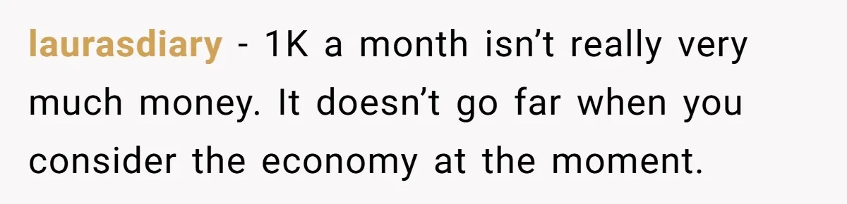 laurasdiary − 1K a month isn’t really very much money. It doesn’t go far when you consider the economy at the moment.