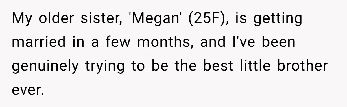My older sister, 'Megan' (25F), is getting married in a few months, and I've been genuinely trying to be the best little brother ever.