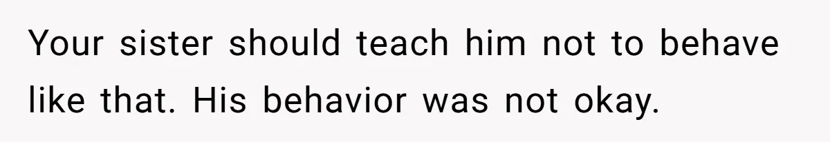 Your sister should teach him not to behave like that. His behavior was not okay.
