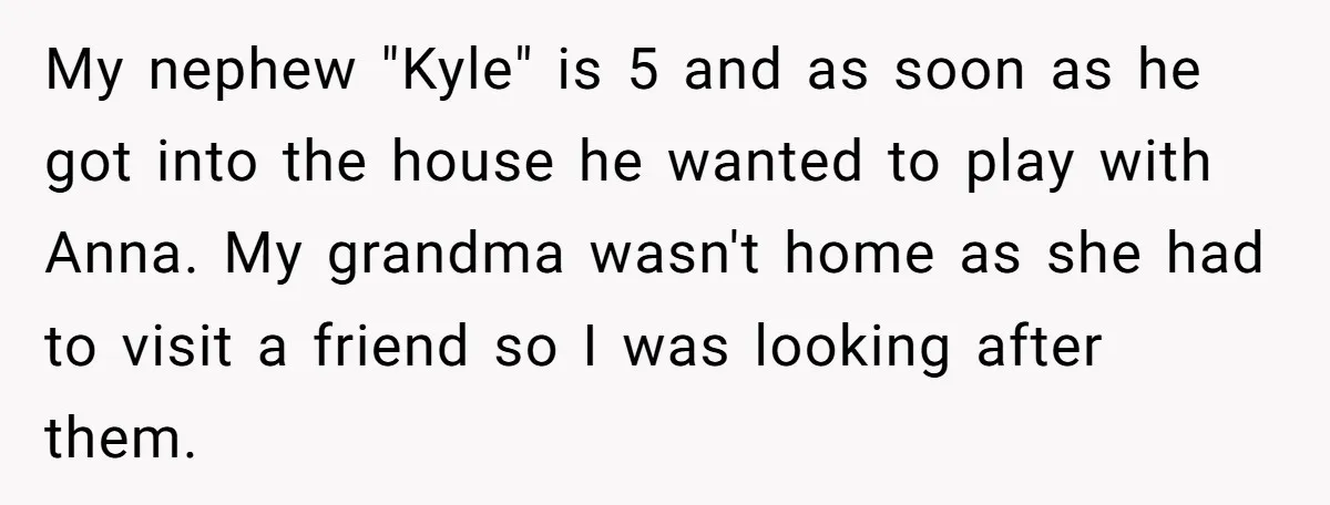 My nephew "Kyle" is 5 and as soon as he got into the house he wanted to play with Anna. My grandma wasn't home as she had to visit a...
