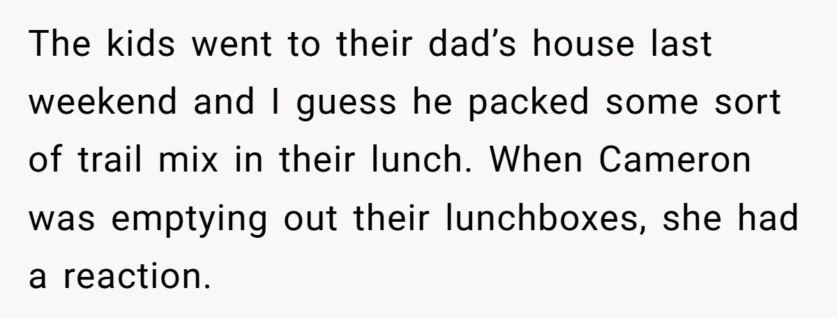 The kids went to their dad’s house last weekend and I guess he packed some sort of trail mix in their lunch. When Cameron was emptying out their lunchboxes, she...