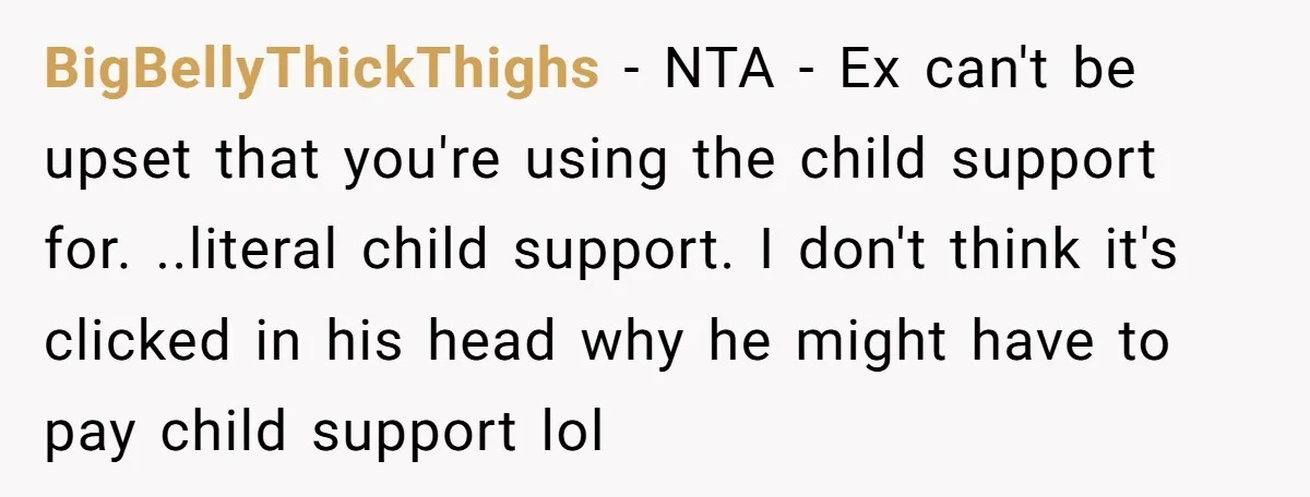 BigBellyThickThighs − NTA - Ex can't be upset that you're using the child support for. ..literal child support. I don't think it's clicked in his head why he might have...