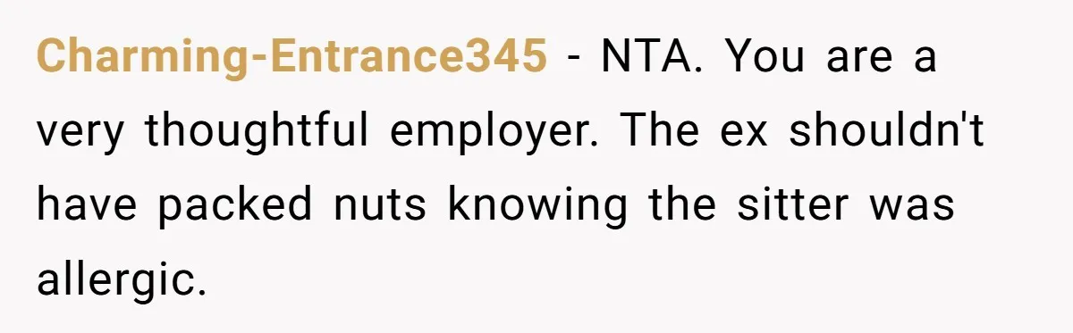 Charming-Entrance345 − NTA. You are a very thoughtful employer. The ex shouldn't have packed nuts knowing the sitter was allergic.