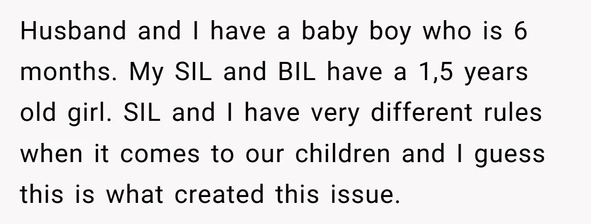 Husband and I have a baby boy who is 6 months. My SIL and BIL have a 1,5 years old girl. SIL and I have very different rules when it...