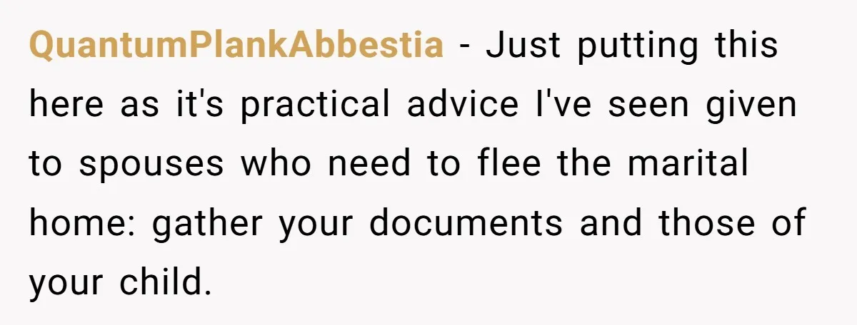 QuantumPlankAbbestia − Just putting this here as it's practical advice I've seen given to spouses who need to flee the marital home: gather your documents and those of your child.