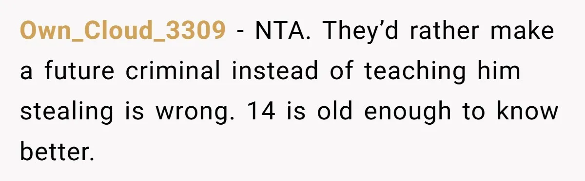 Own_Cloud_3309 − NTA. They’d rather make a future criminal instead of teaching him stealing is wrong. 14 is old enough to know better.