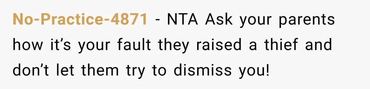 No-Practice-4871 − NTA Ask your parents how it’s your fault they raised a thief and don’t let them try to dismiss you!