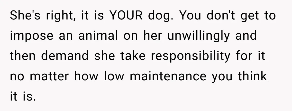 She's right, it is YOUR dog. You don't get to impose an animal on her unwillingly and then demand she take responsibility for it no matter how low maintenance you...